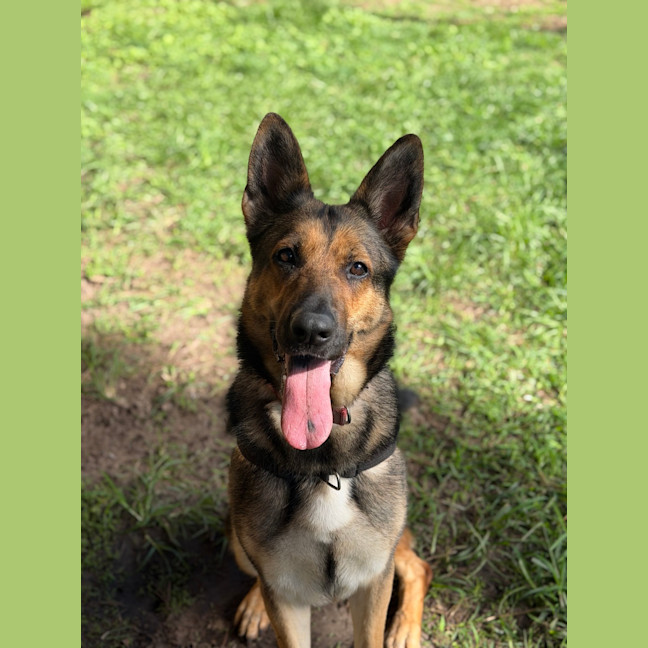 Photo of Coco