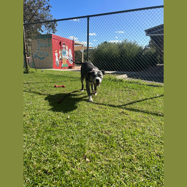 Photo of Tank