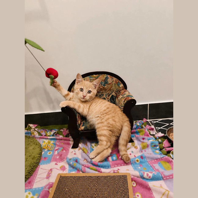 Photo of Garthie