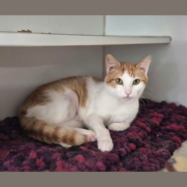 Photo of Jasper