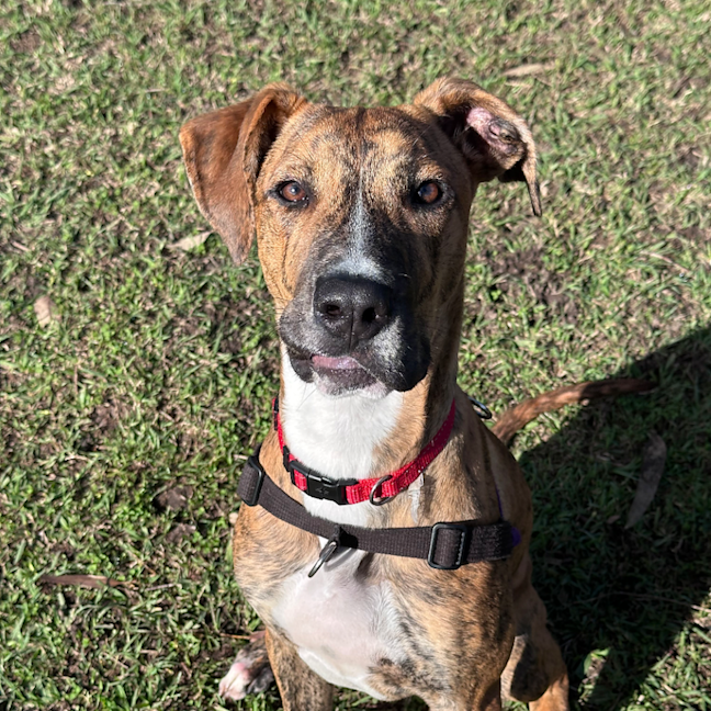 Photo of Tank