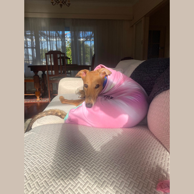 Photo of Sandy 