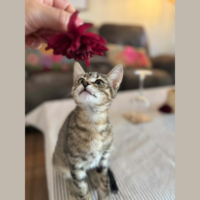 Photo of Lumy
