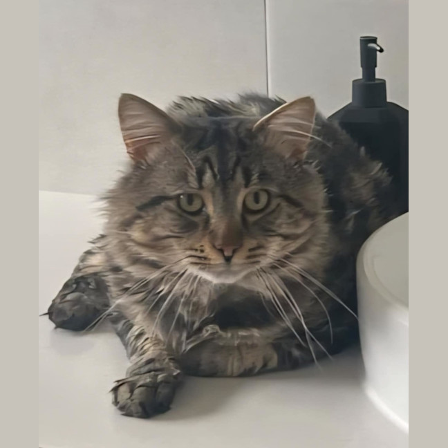 Photo of Sebastian 