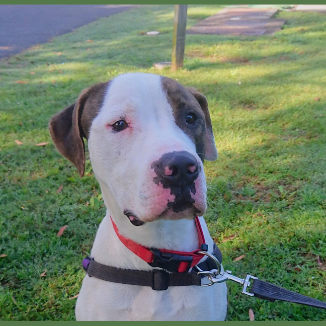 Photo of Max
