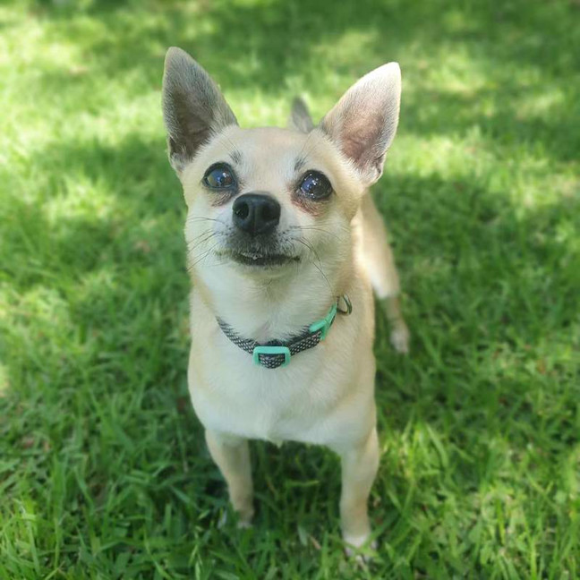 Photo of Tito