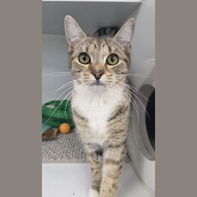 Photo of Cleo