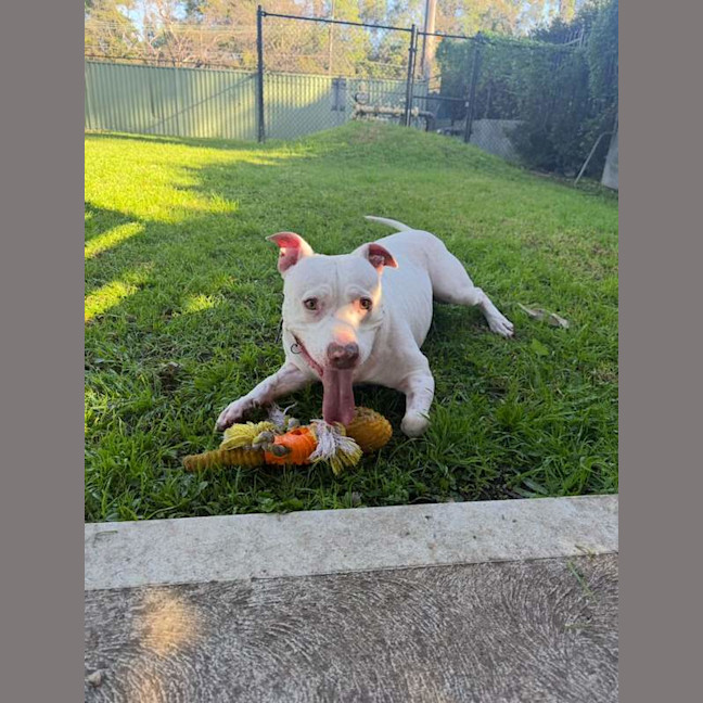 Photo of Ghost