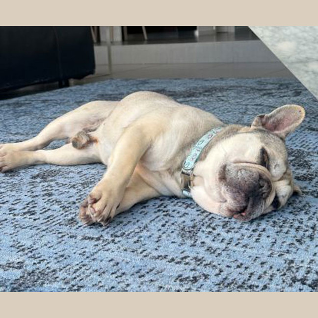 Photo of Pablo