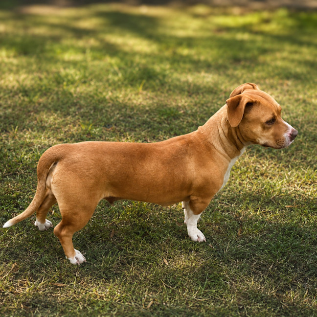 Photo of Sally
