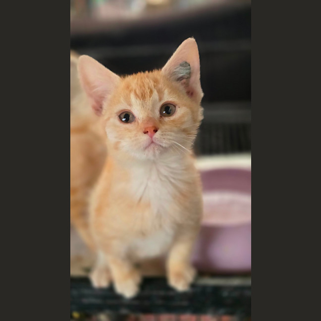Photo of Esmerelda