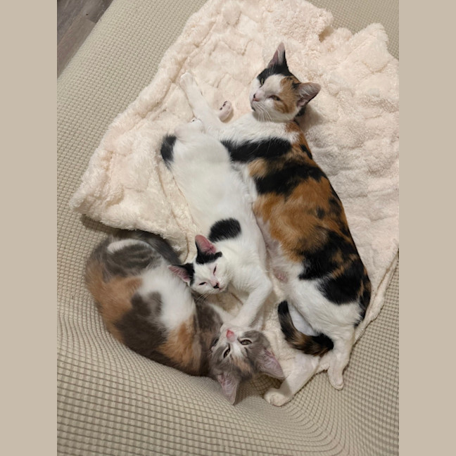 Photo of Margo (With Josie)