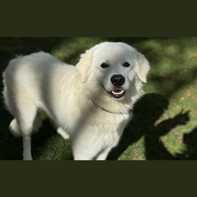 Photo of Murphy