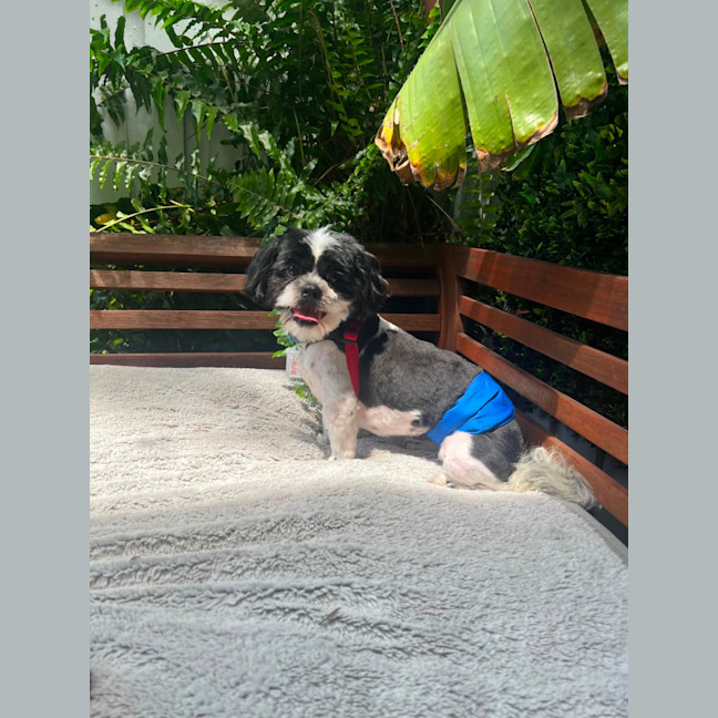 Photo of Hairy Mac Clary 