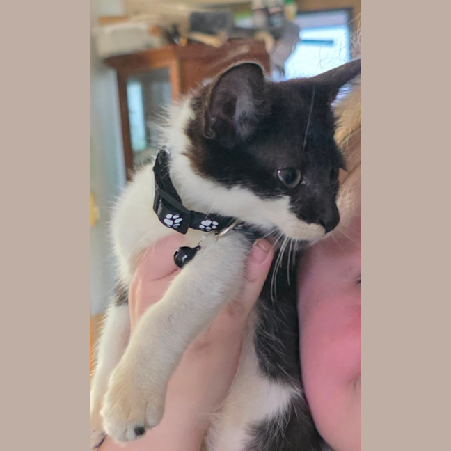 Photo of Lucky