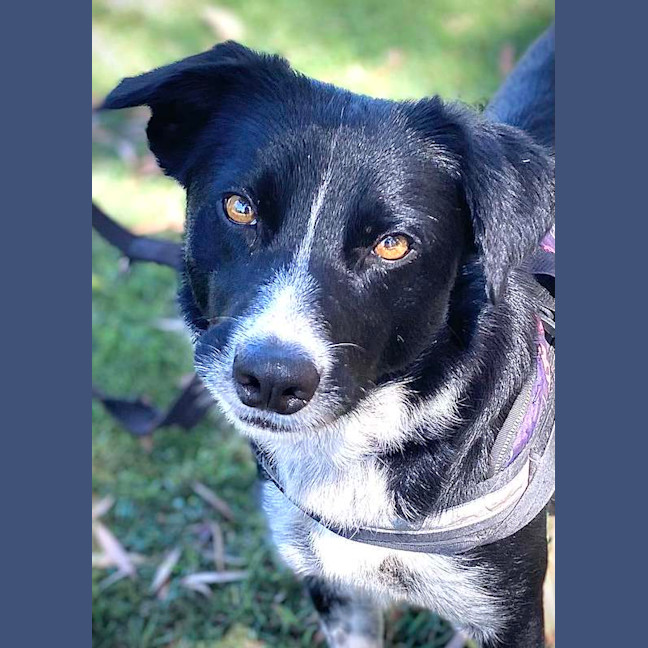 Photo of Zena