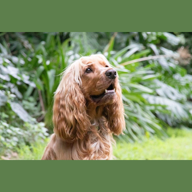 Photo of Cookie Dumont