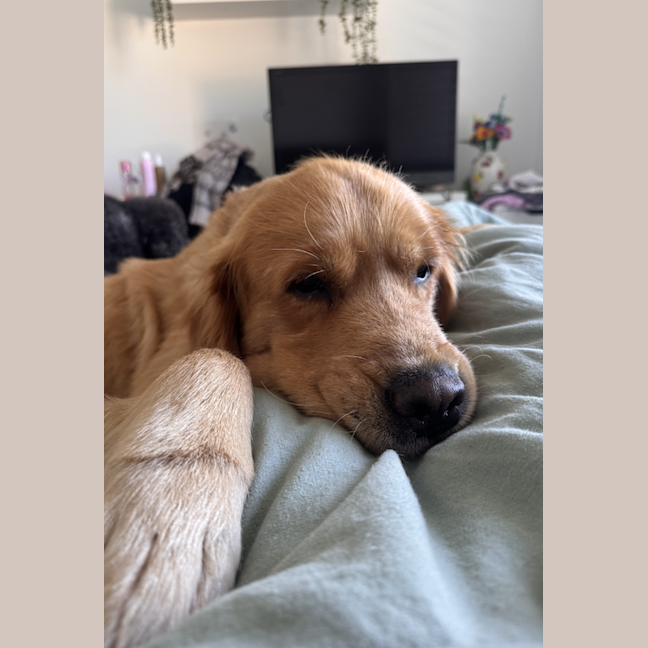 Photo of Oj