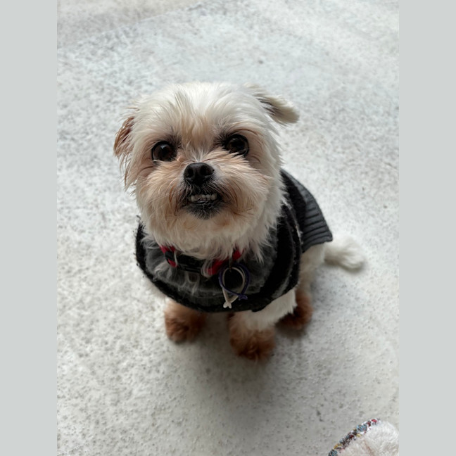 Photo of Little May