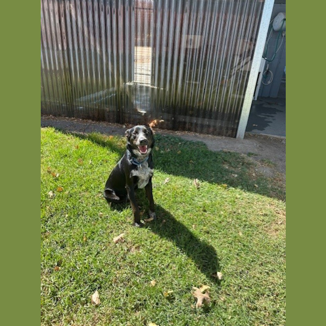 Photo of Betty