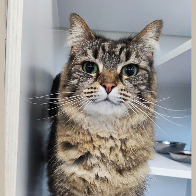Photo of Clementine