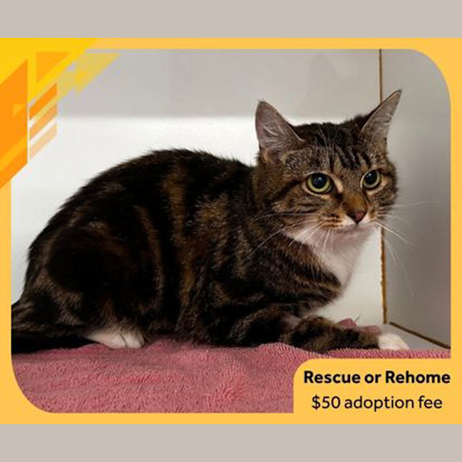 Photo of Bertha