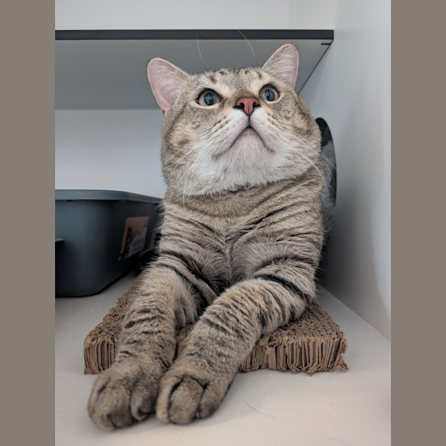 Photo of Jabba