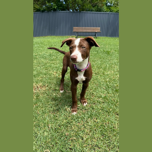 Photo of Marnie