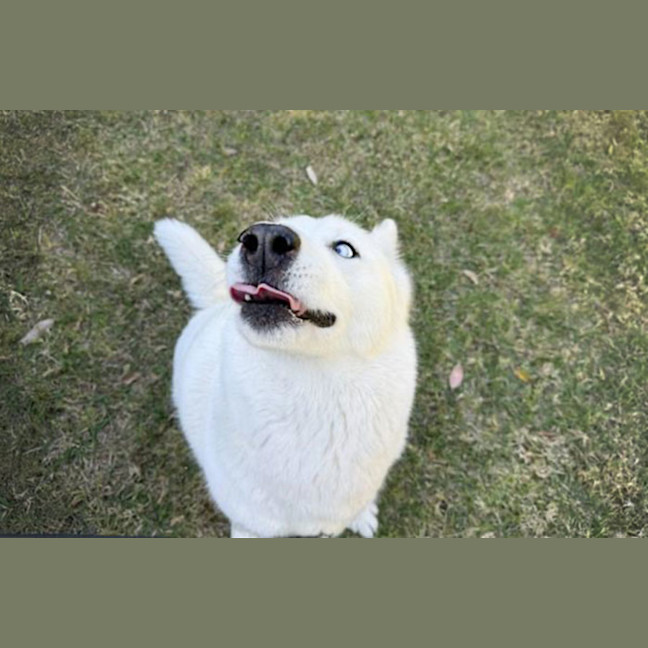 Photo of Heidi