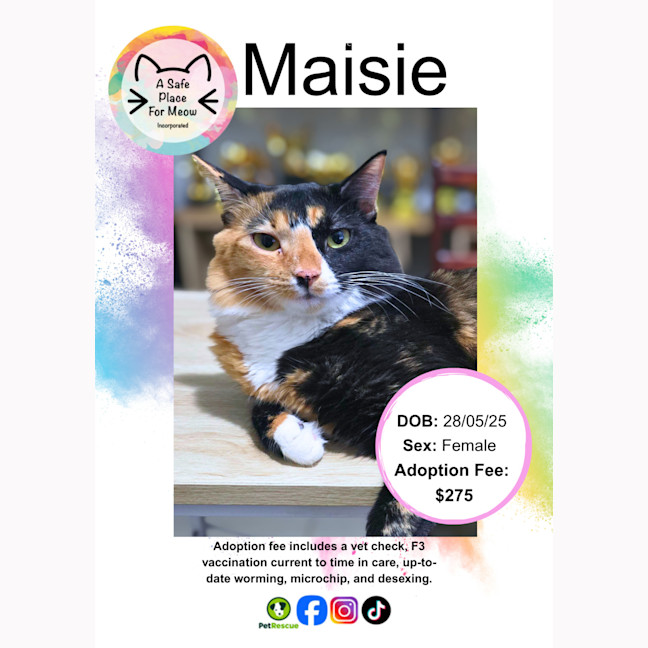Photo of Maisie