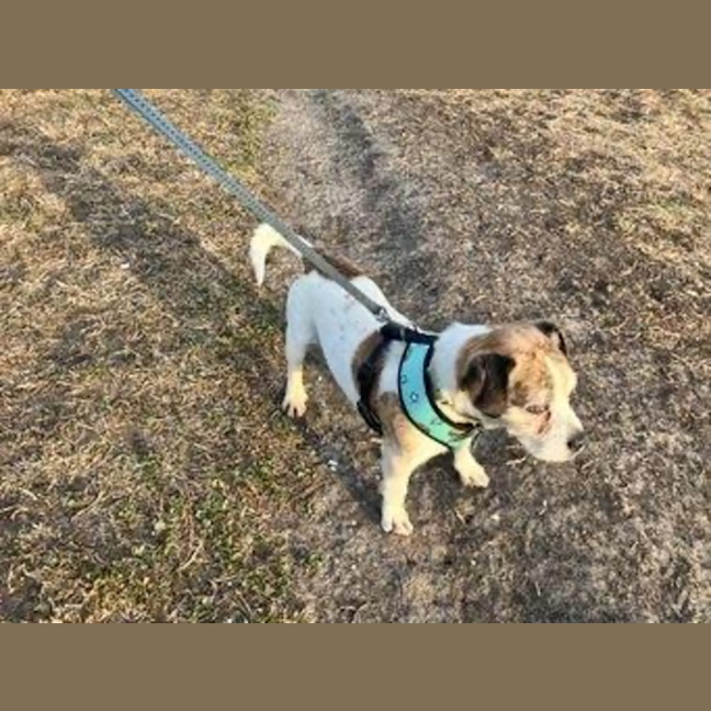 Photo of Coriolanus Snow Peggotty