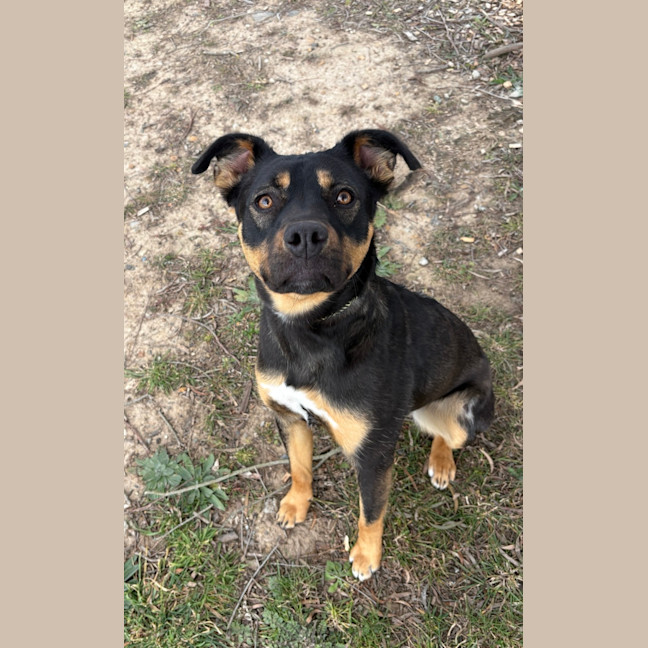 Photo of Missy