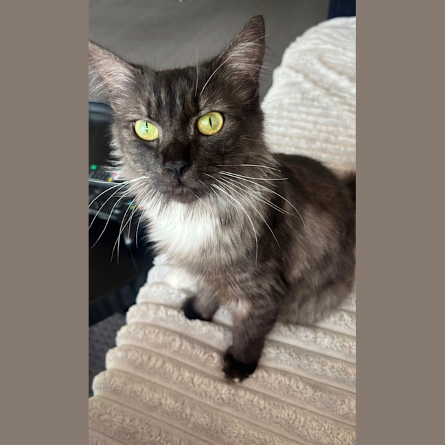 Photo of Selene