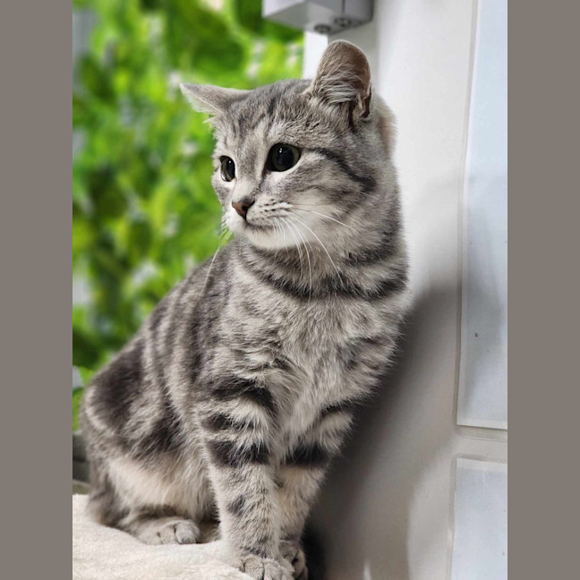 Photo of 🎆 Holly 6027 🎆