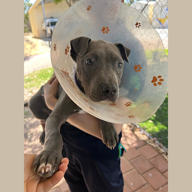 Photo of Zeus