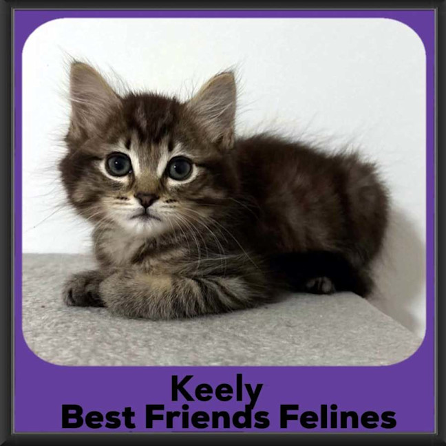 Photo of Keely 
