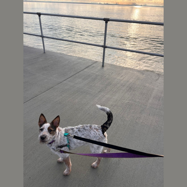Photo of Molly