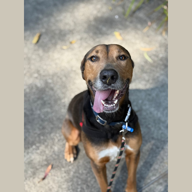 Photo of Ruby