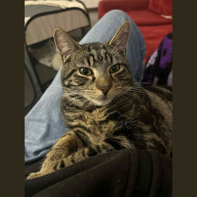 Photo of Max Purkinje