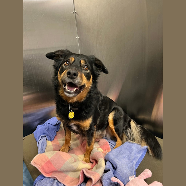 Photo of Millie (Was Gemma)