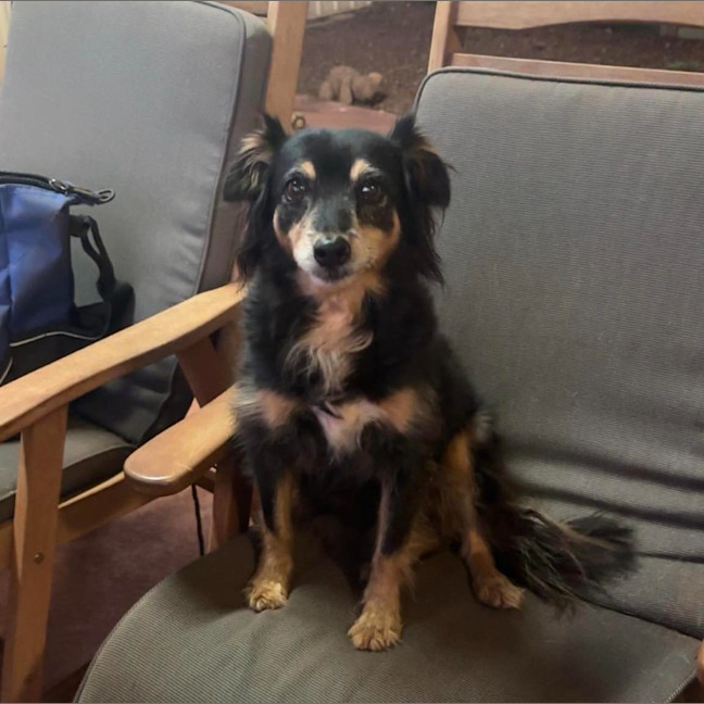 Photo of Rolo