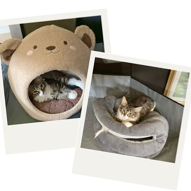 Photo of Tufty And Tiny