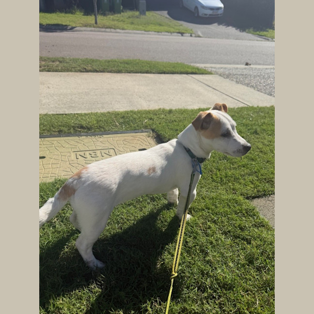 Photo of Woody