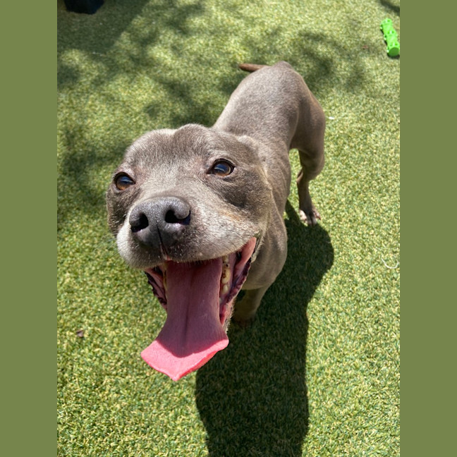 Photo of Larry (Now Vader)