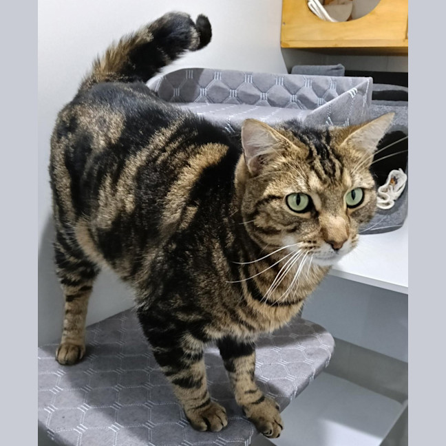 Photo of Tom