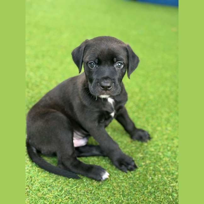 Photo of D1204 Murphy