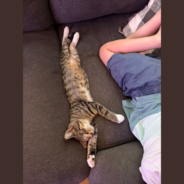 Photo of Billy Button