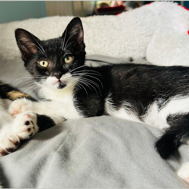 Photo of Minnie