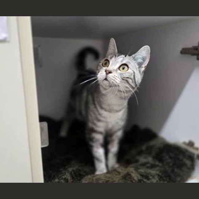Photo of Murphette