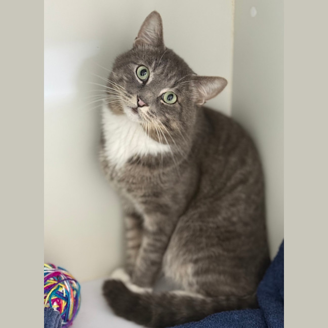 Photo of Troop